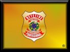 CONTATOS PROFISSIONAL FALCAO BRASIL 24 H