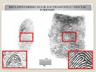 DETETIVE FALCAO INVESTIGACAO INTELIGENTE